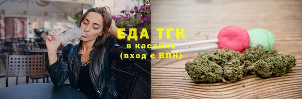 крисы Бородино