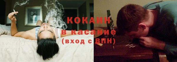 эйфоретик Богданович
