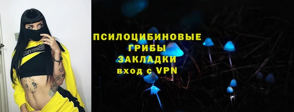 крисы Бородино