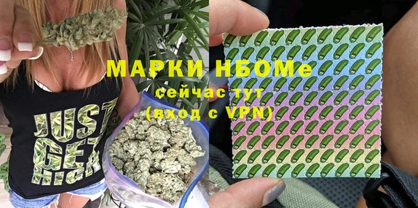 крисы Бородино