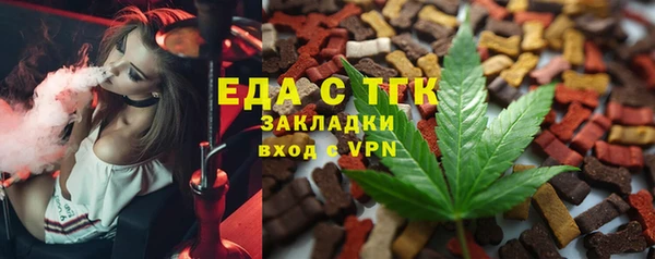 крисы Бородино