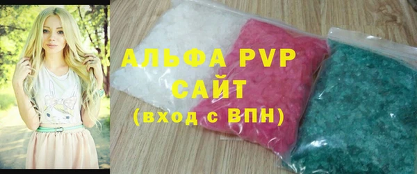 крисы Бородино